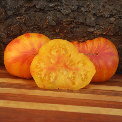 Patty's Striped Beefsteak Tomato