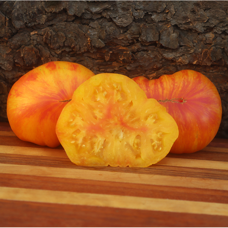 Patty's Striped Beefsteak Tomato