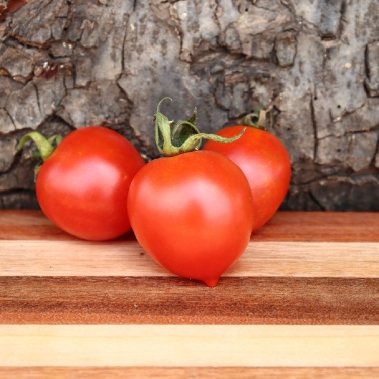 Piennolo del Vesuvio Tomato