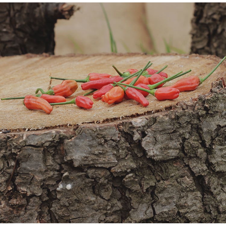 Pimente Rouge Grains