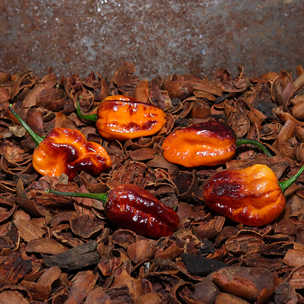 Pockmark Orange