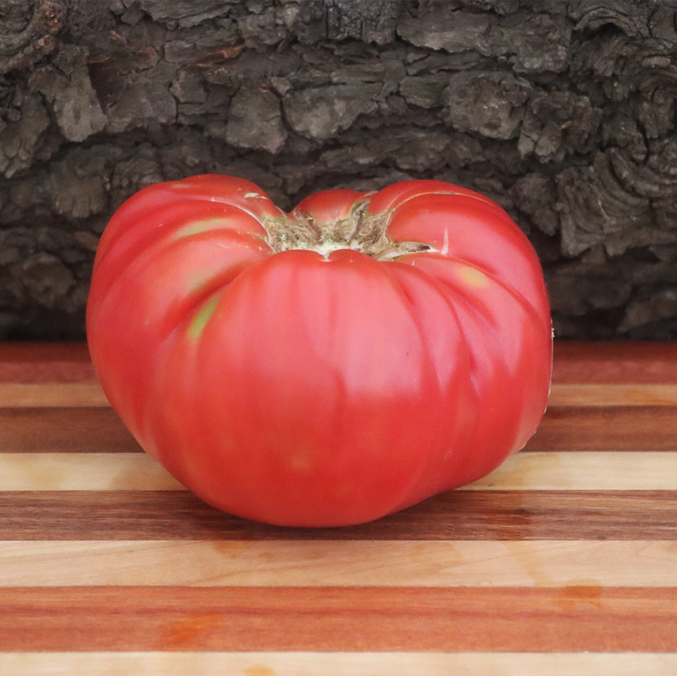 Polish C Tomato