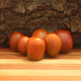 Purple Plum Tomato