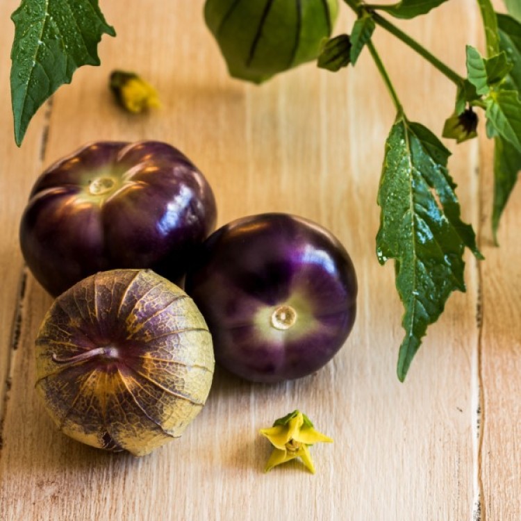 Purple Tomatillo