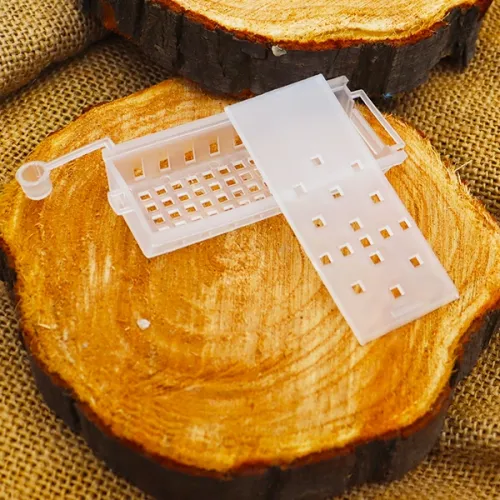 Queen Cage Queen Cage