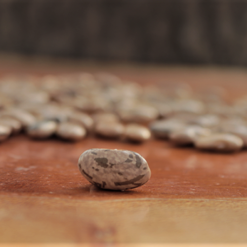 Rattlesnake Beans