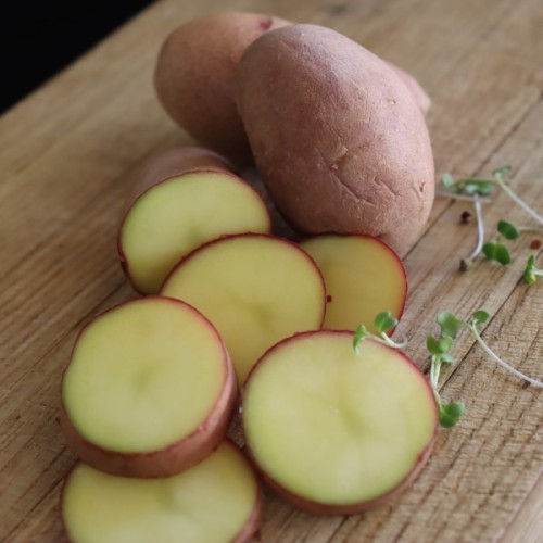 Red Fruitillar Seed Potato