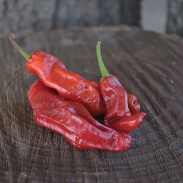 Peter Pepper Red