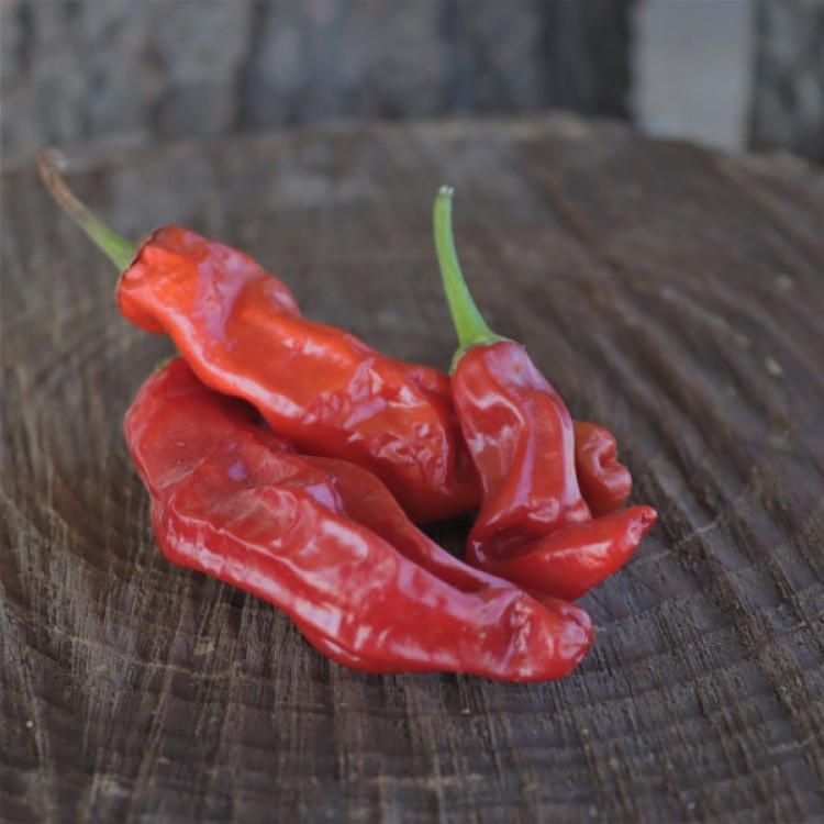 Peter Pepper Red