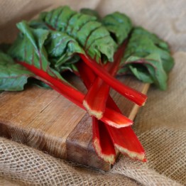 Swiss Chard Red Rhubarb