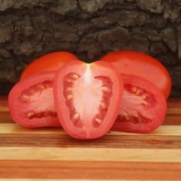 Rio Grande Tomato