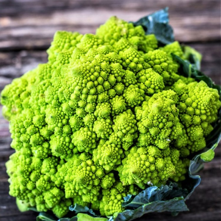 Romanesco Broccoli