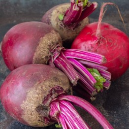 Ruby Queen Beetroot