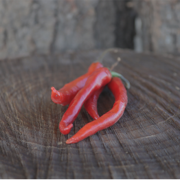 Rustenburg Chilli