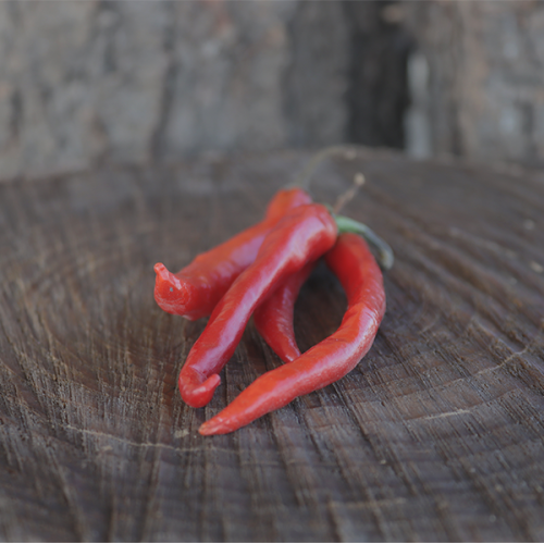 Rustenburg Chilli