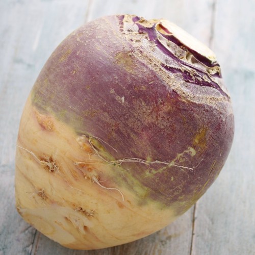 American Purple Top Rutabaga