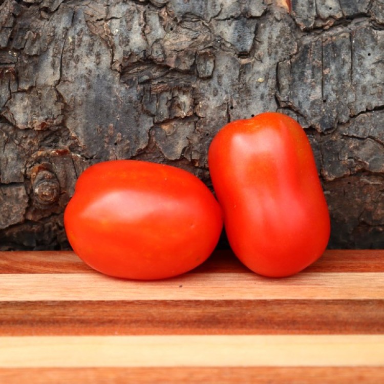 Rwanda Tomato