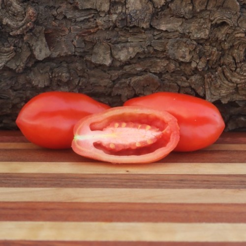 San Marzano Tomato (Determinate)