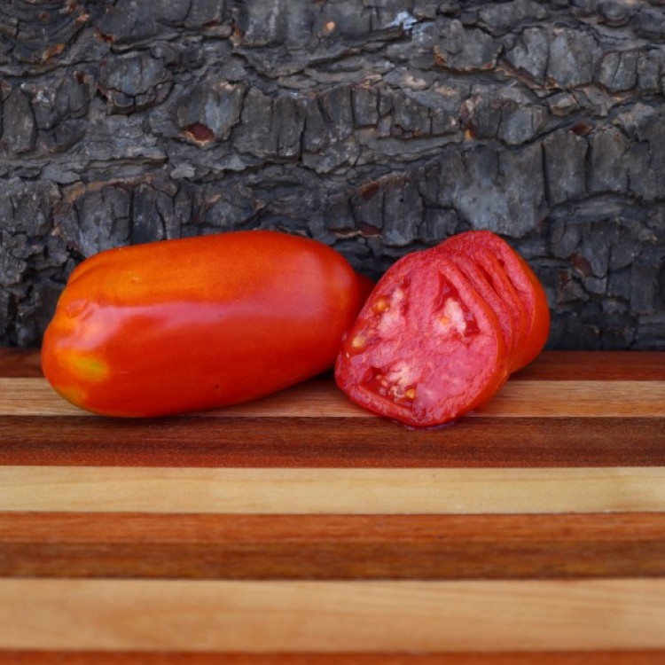 San Marzano Redorta Tomato