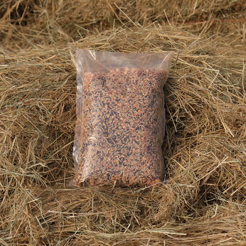Livingseeds Scratch Mix