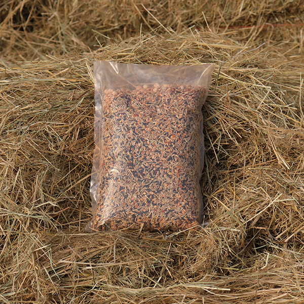 Livingseeds Scratch Mix