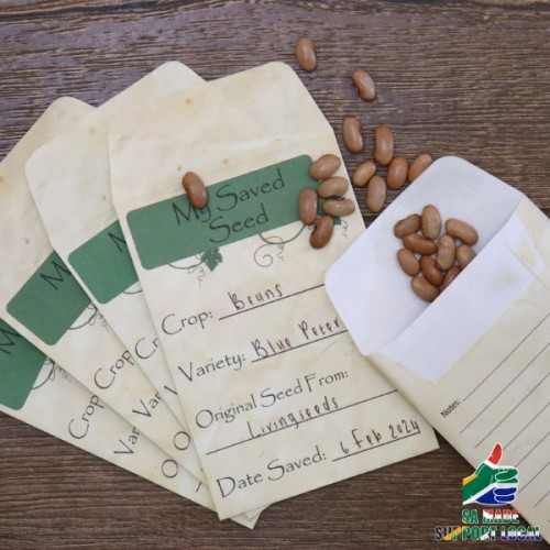 Seed Saving Envelopes 