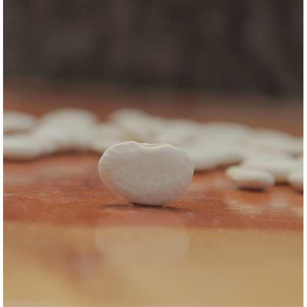Sieva Lima Beans
