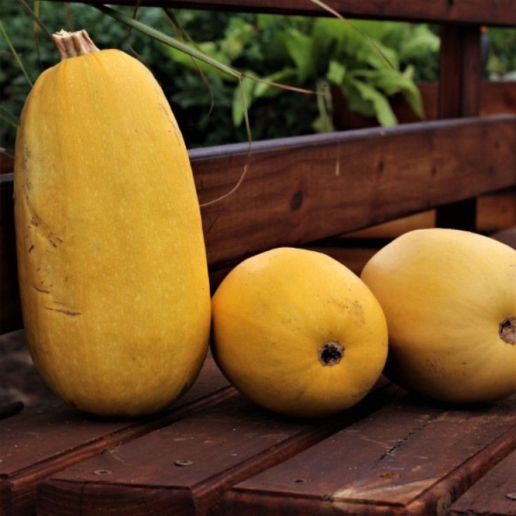 Spaghetti Squash