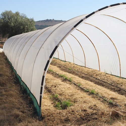 10m Polytunnel Installation