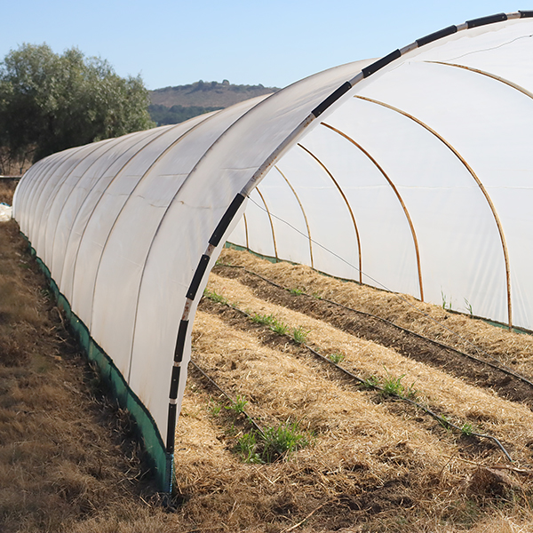 30m Polytunnel Installation