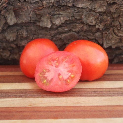 Summer Star Tomato