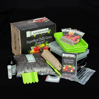 Livingseeds Superhot Chilli Growers Kit
