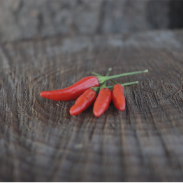 Tabasco Green Leaf