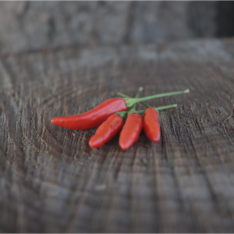 Tabasco Green Leaf