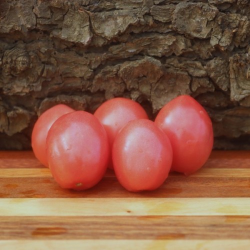 Thai Pink Egg Tomato