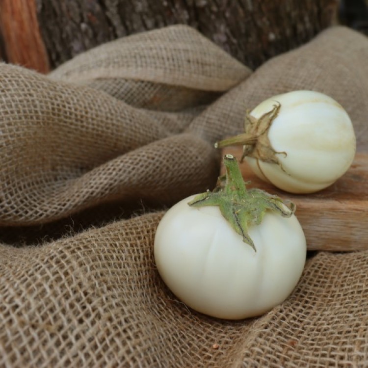 Thai White Ribbed Eggplant