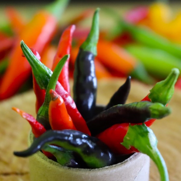 The Mild Chilli Pepper Range - Petite