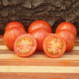 Tigerella Tomato