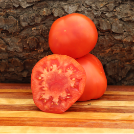 Tres Cantos Tomato