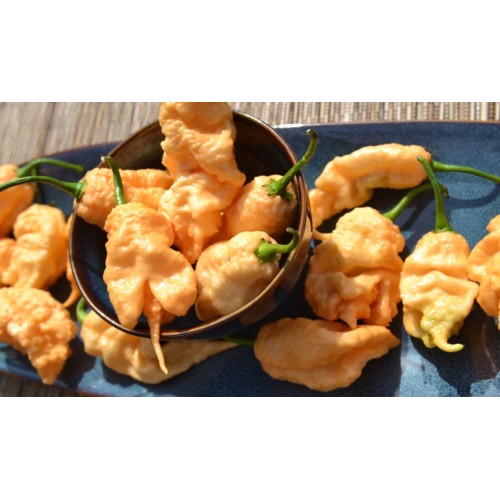 Trinidad Scorpion Peach