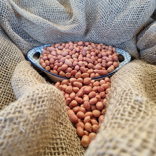 Tswana Manoko Peanut