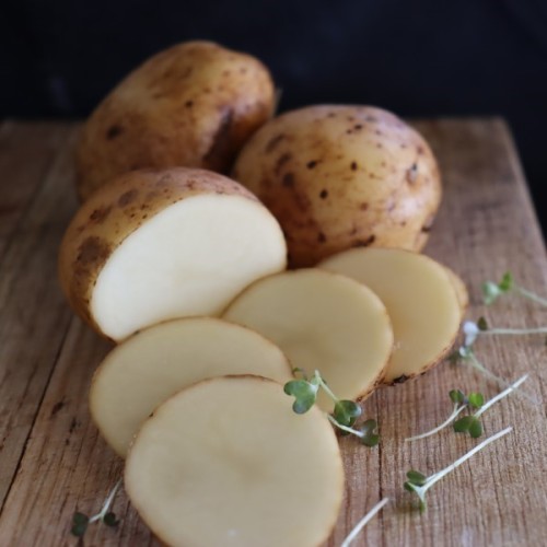 Valor Seed Potatoes