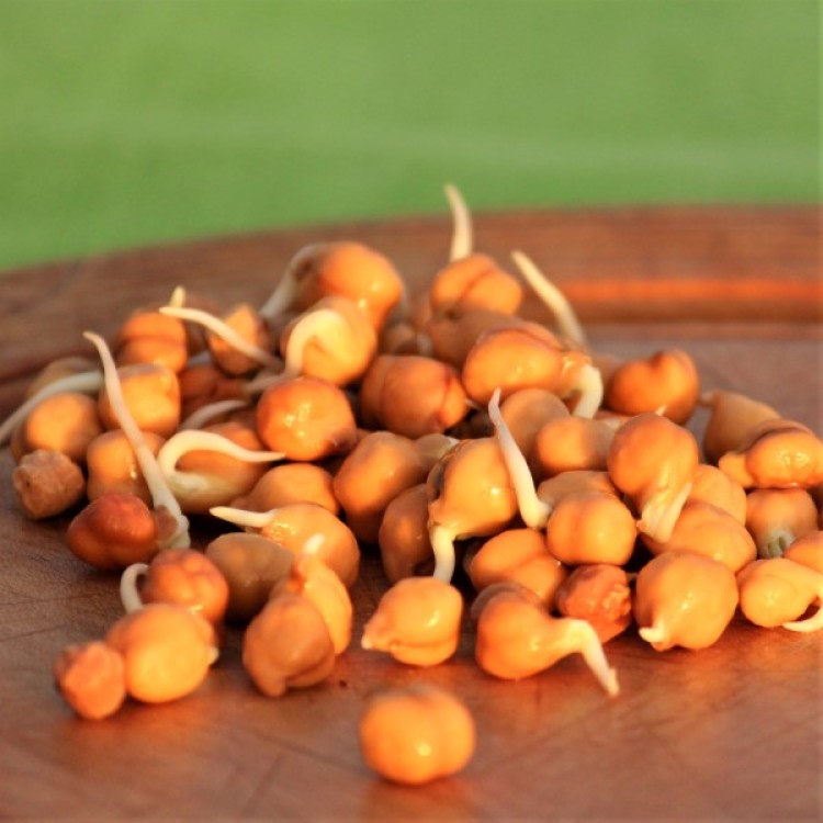 White Chickpeas 200 gr