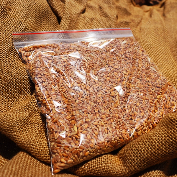 Whole Grain Bread Blend