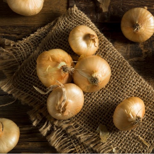 Yellow Round Chioggia