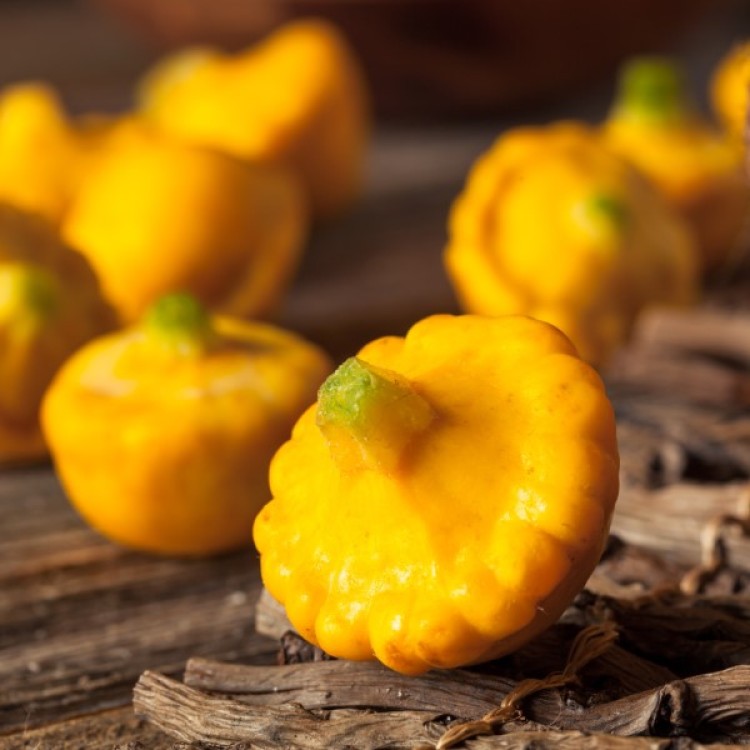 Yellow Scallop Squash