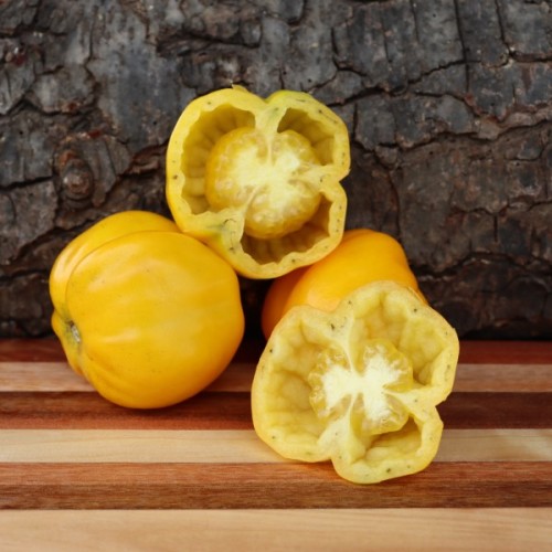 Yellow Stuffer 