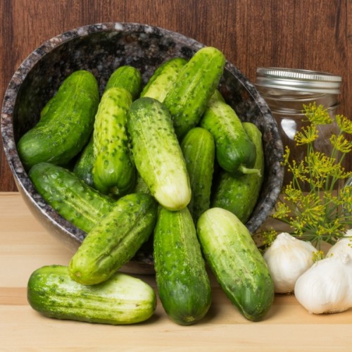 Arkansas Little Leaf Cucumber