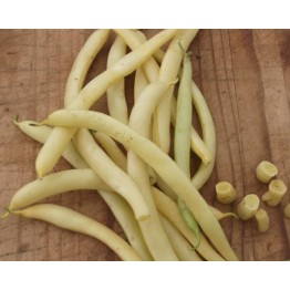Bountiful Butter