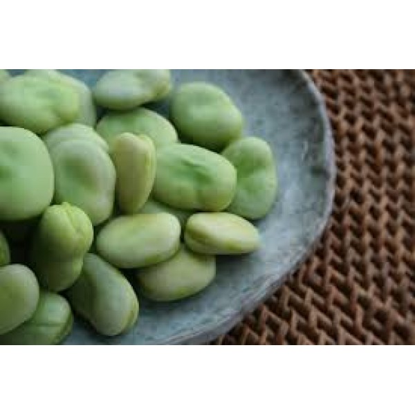 Broad Beans Broad Beans